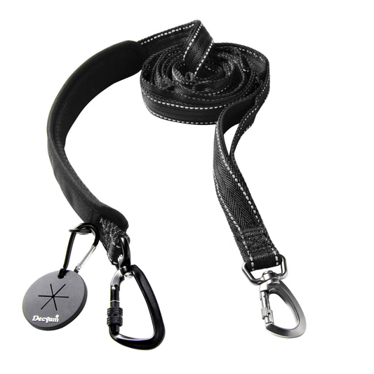 Decyam Dog Lead - 8ft Adjustable Slip Lead for Pets