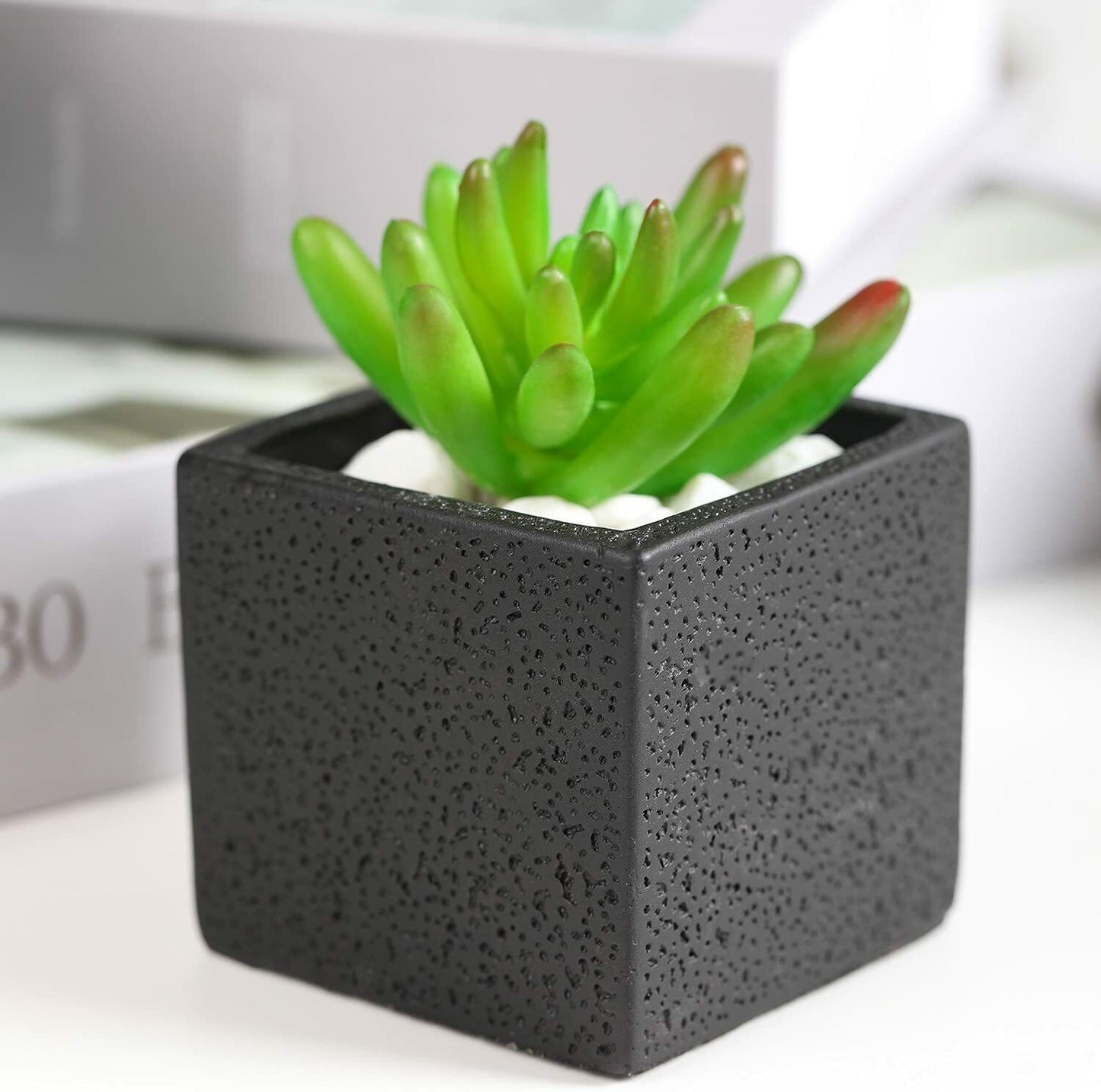 TOTOOSE Succulent Plant Pots Indoor -2.6 inch Cement Succulent Planter Container