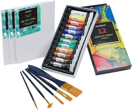 20 Piece Artist Acrylic Painting Set 12Pcs Premium Paints 5 Brushes 3 Canvases