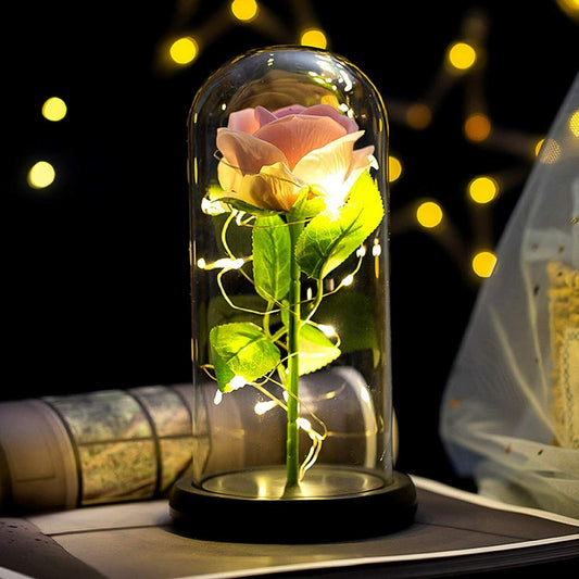 Roses and Warm LED Lights Container Gift- Pink rose+Warm LED lights