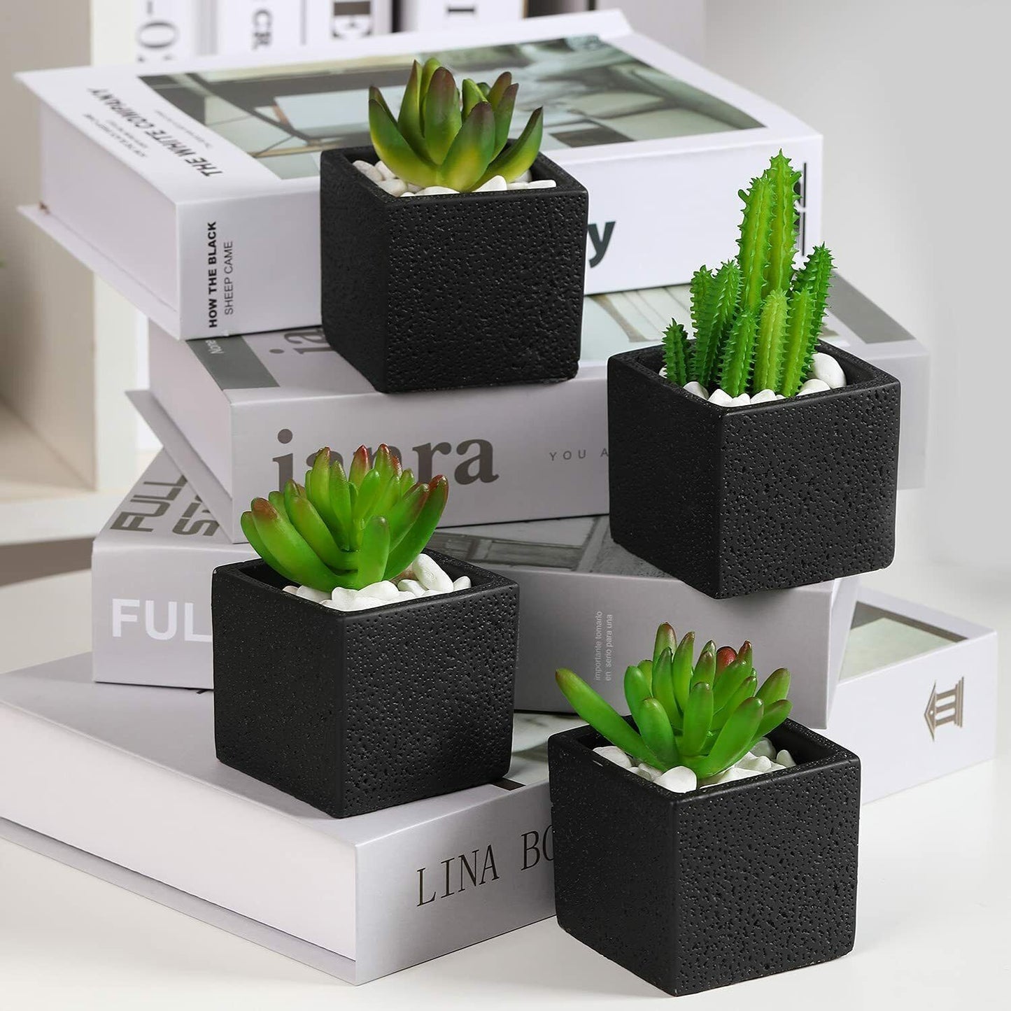 TOTOOSE Succulent Plant Pots Indoor -2.6 inch Cement Succulent Planter Container