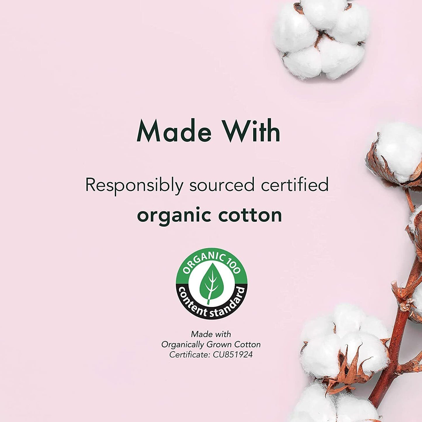 Rael- Organic Cotton Tampons (Regular),16 Count) (4 Packs, Total 64 Count)