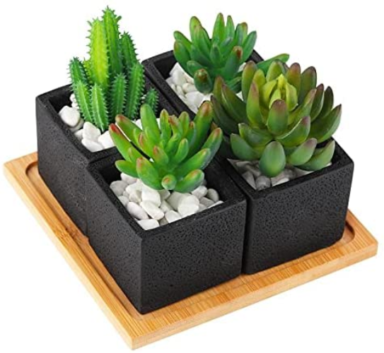 TOTOOSE Succulent Plant Pots Indoor -2.6 inch Cement Succulent Planter Container