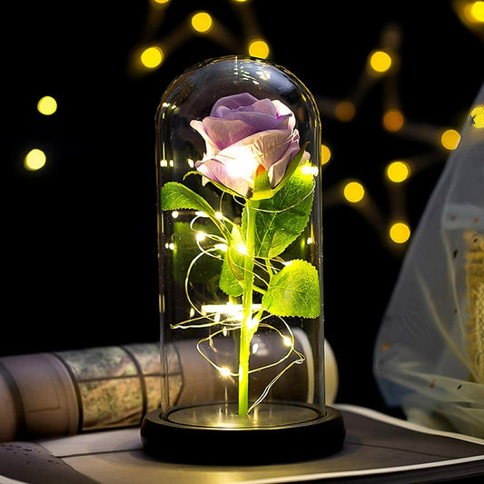 Roses and Warm LED Lights Container Gift Purple rose+Warm LED lights