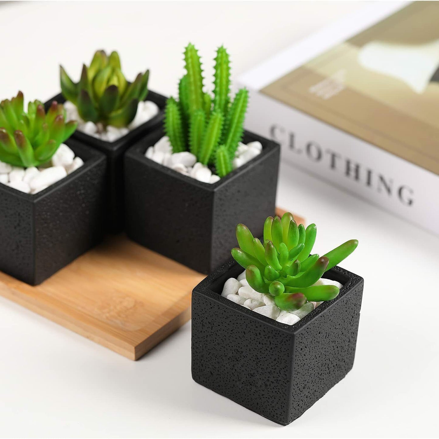 TOTOOSE Succulent Plant Pots Indoor -2.6 inch Cement Succulent Planter Container